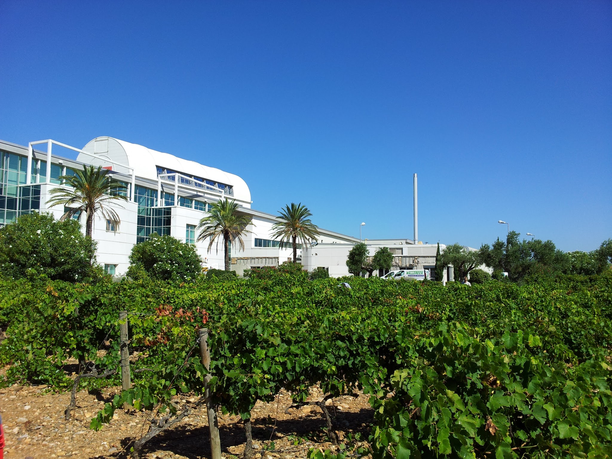 CFA Rivesaltes