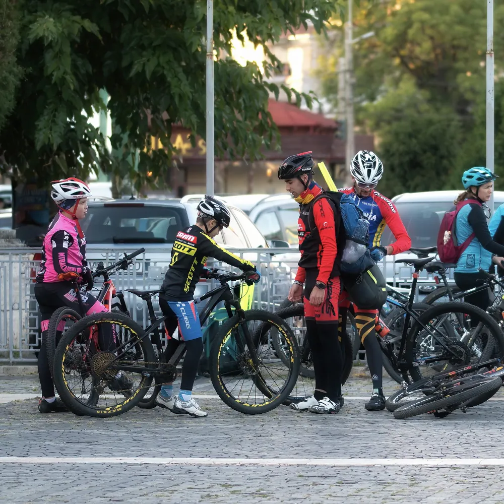 Visuel Section mécanique